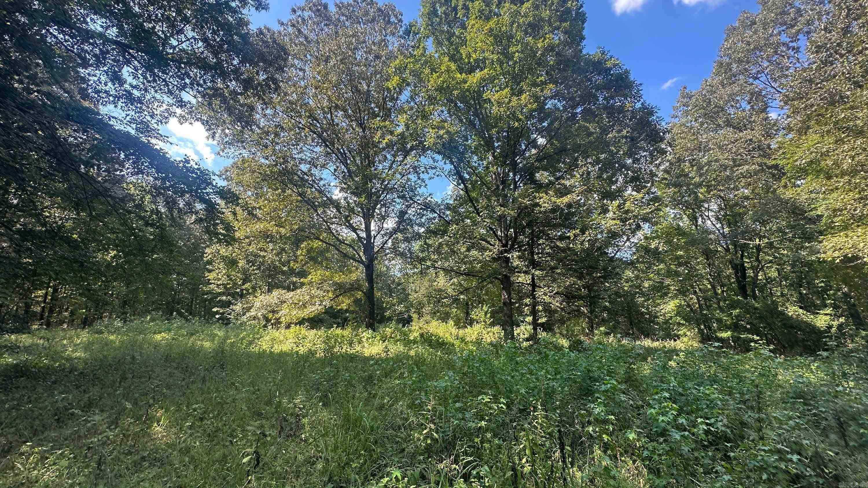 730 HWY 258  Bald Knob, AR