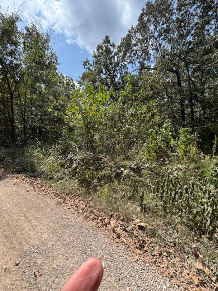 36 FM 101 Rd S Highland  Highland, AR