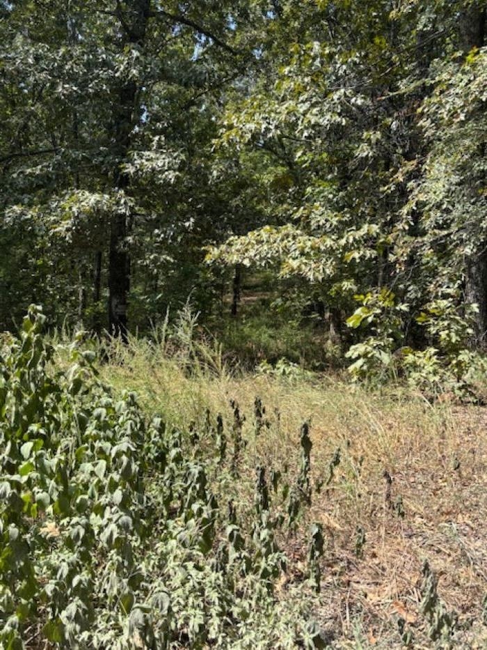 36 FM 101 Rd S Highland  Highland, AR