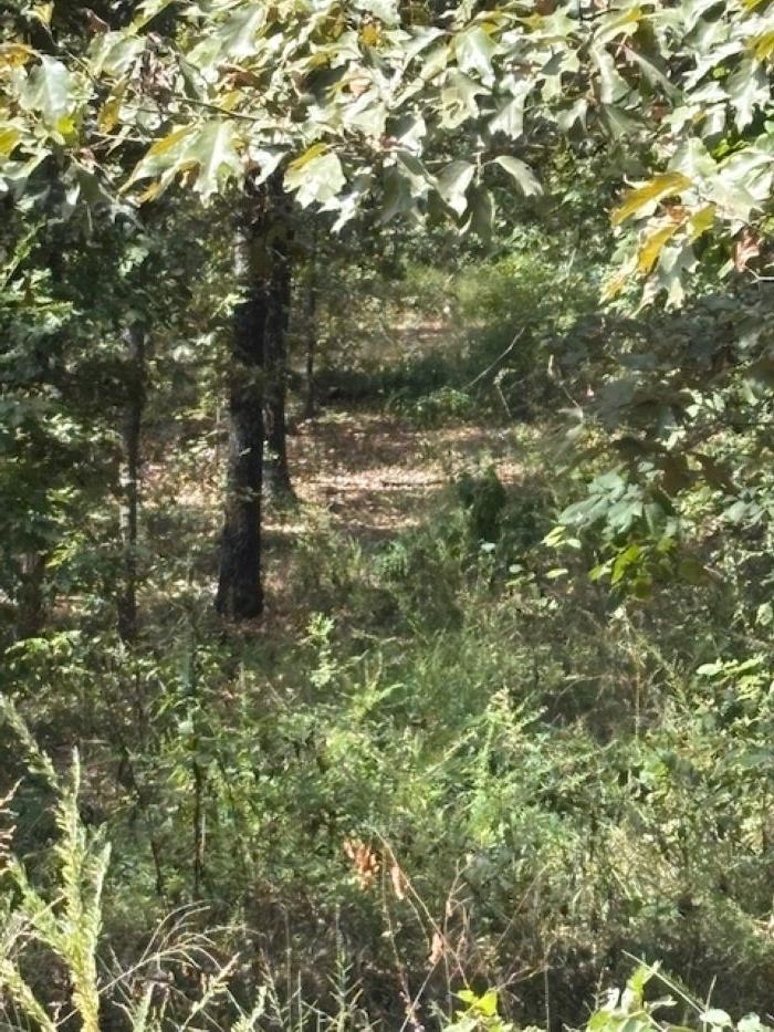 36 FM 101 Rd S Highland  Highland, AR