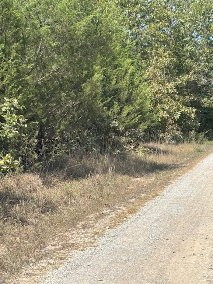 36 FM 101 Rd S Highland  Highland, AR