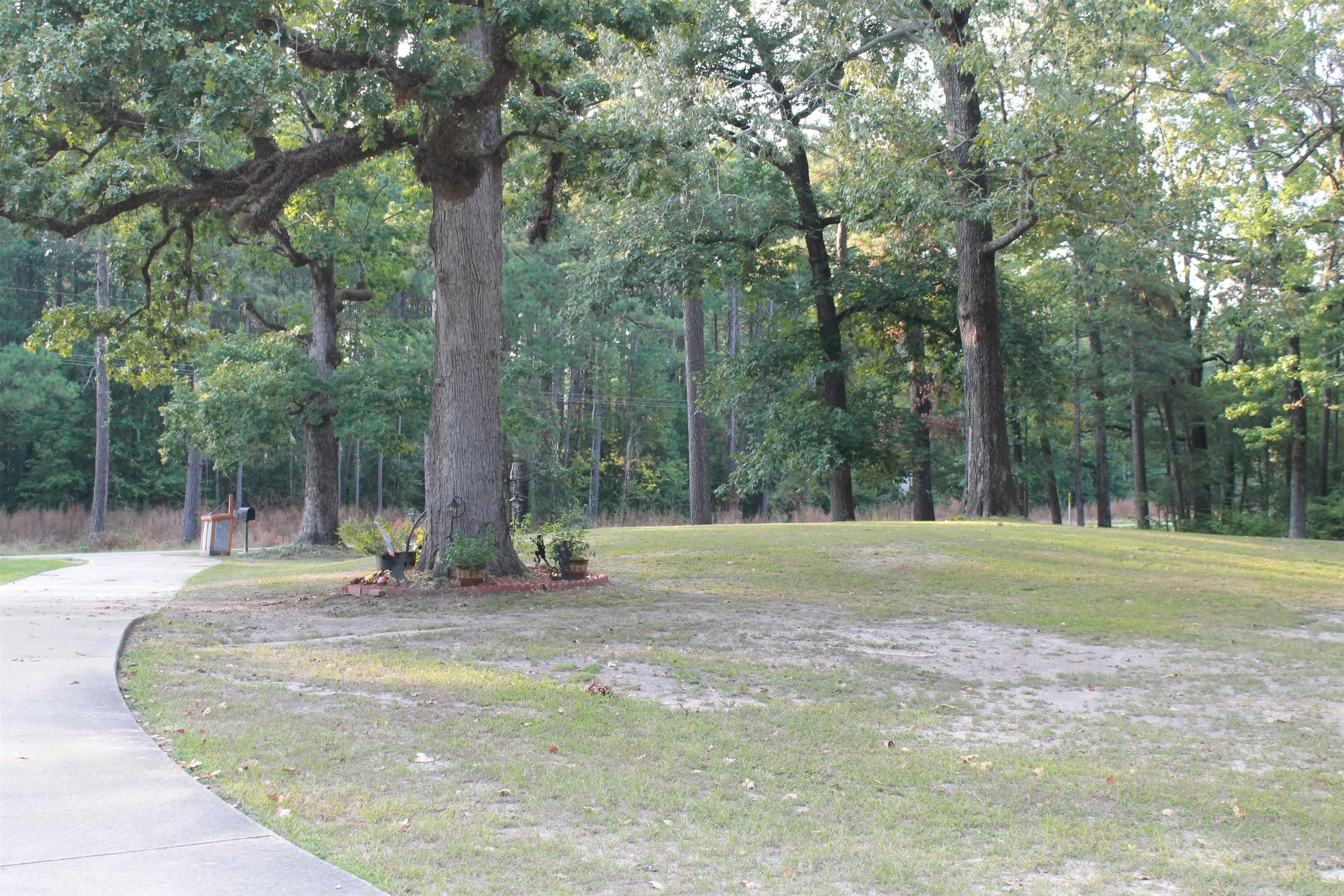 1483 Ouachita 47  Louann, AR