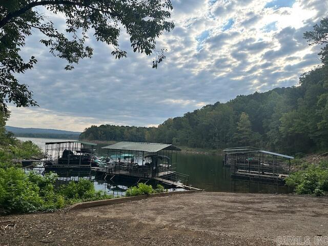 274 Salt Cave Drive  Greers Ferry, AR