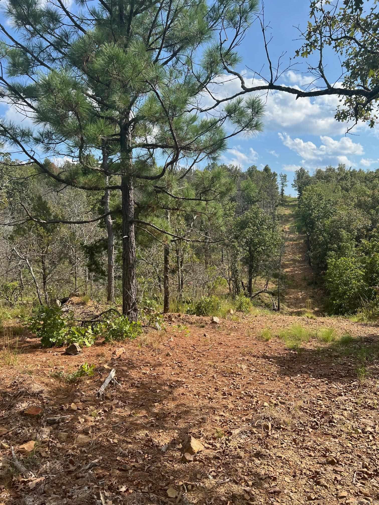 00 Beryl Road  Vilonia, AR