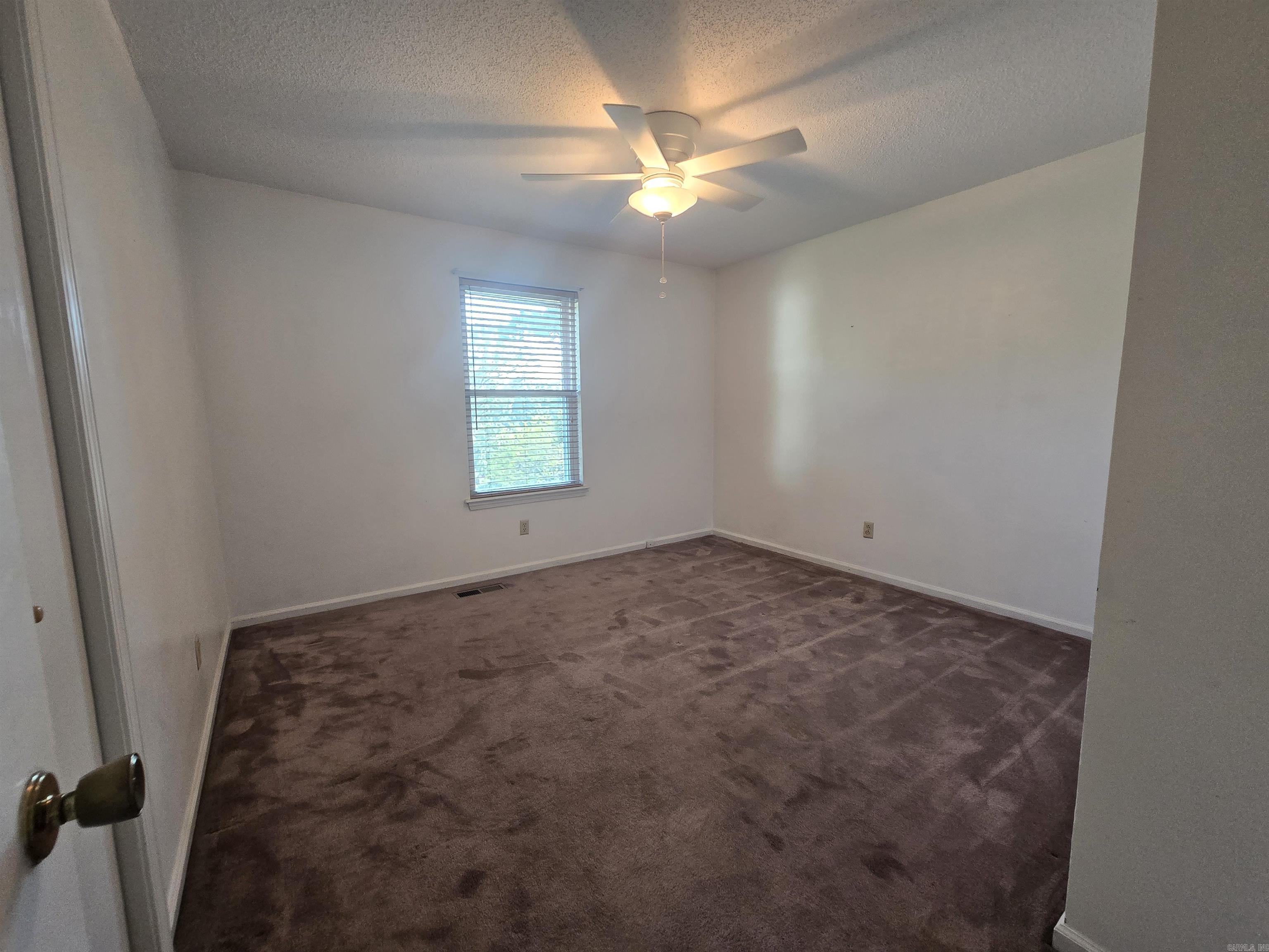 5 Sliver Maple  Little Rock, AR