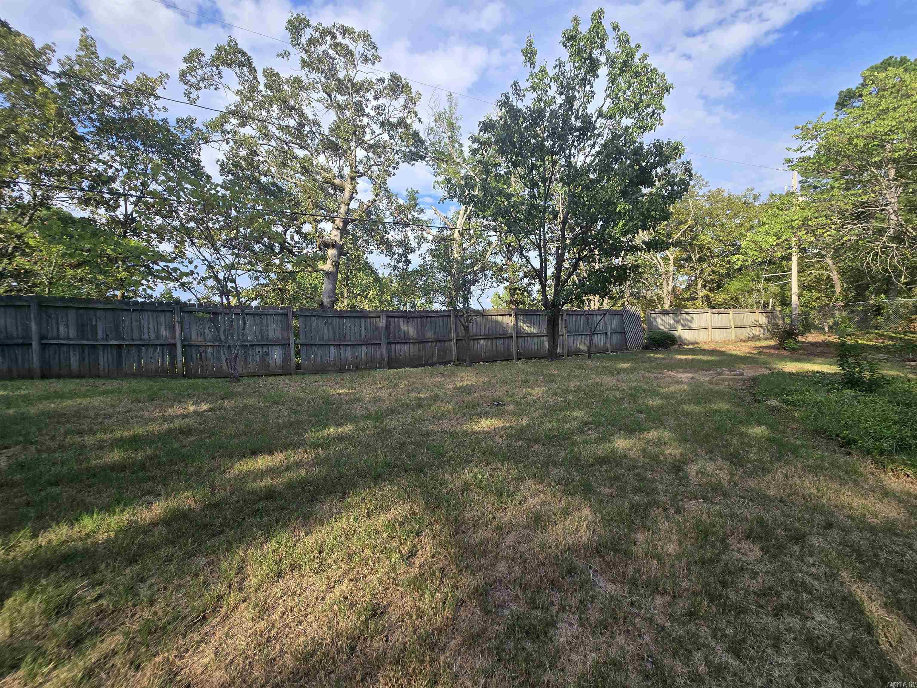5 Sliver Maple  Little Rock, AR