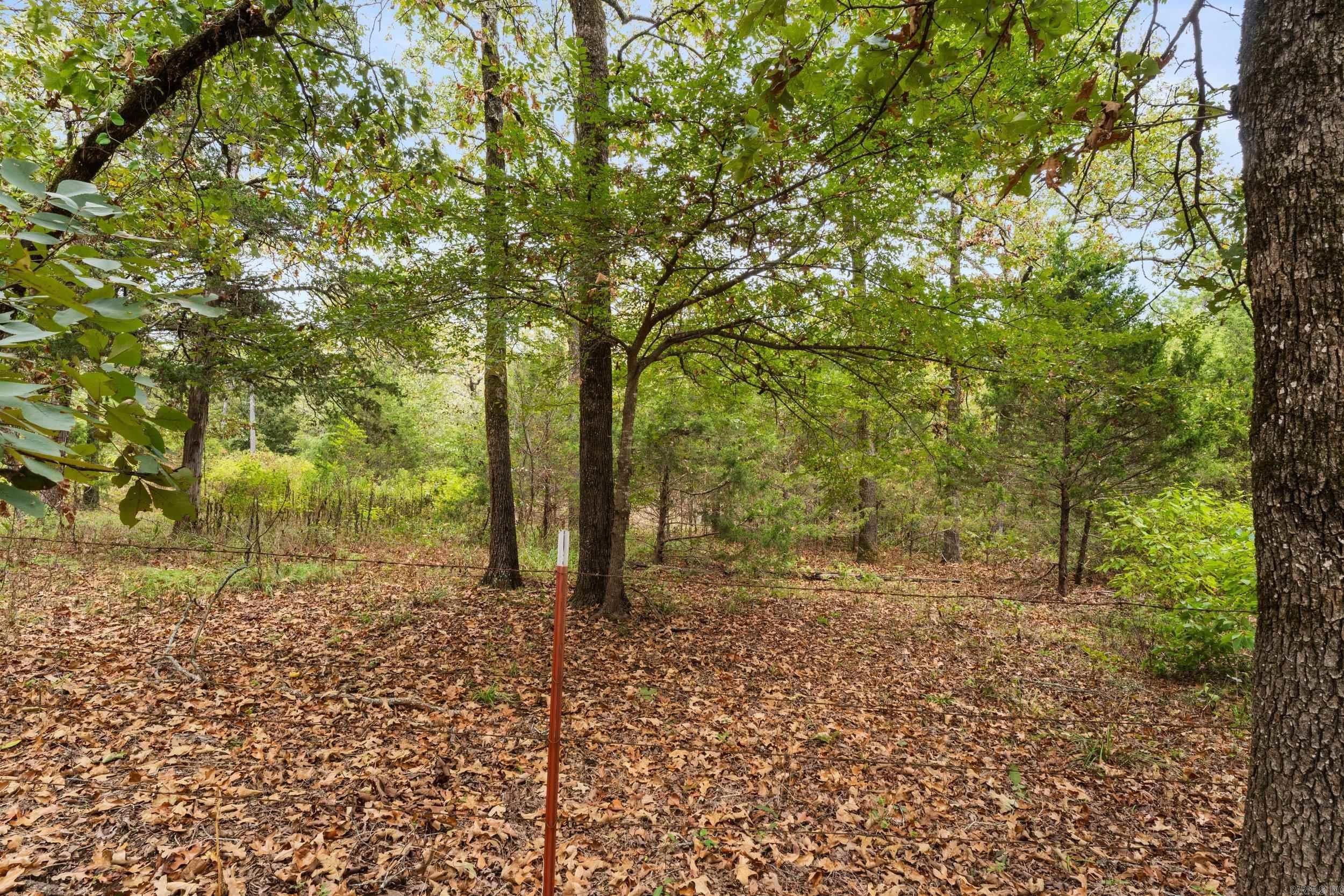 94 Sunshine Farms  Bigelow, AR