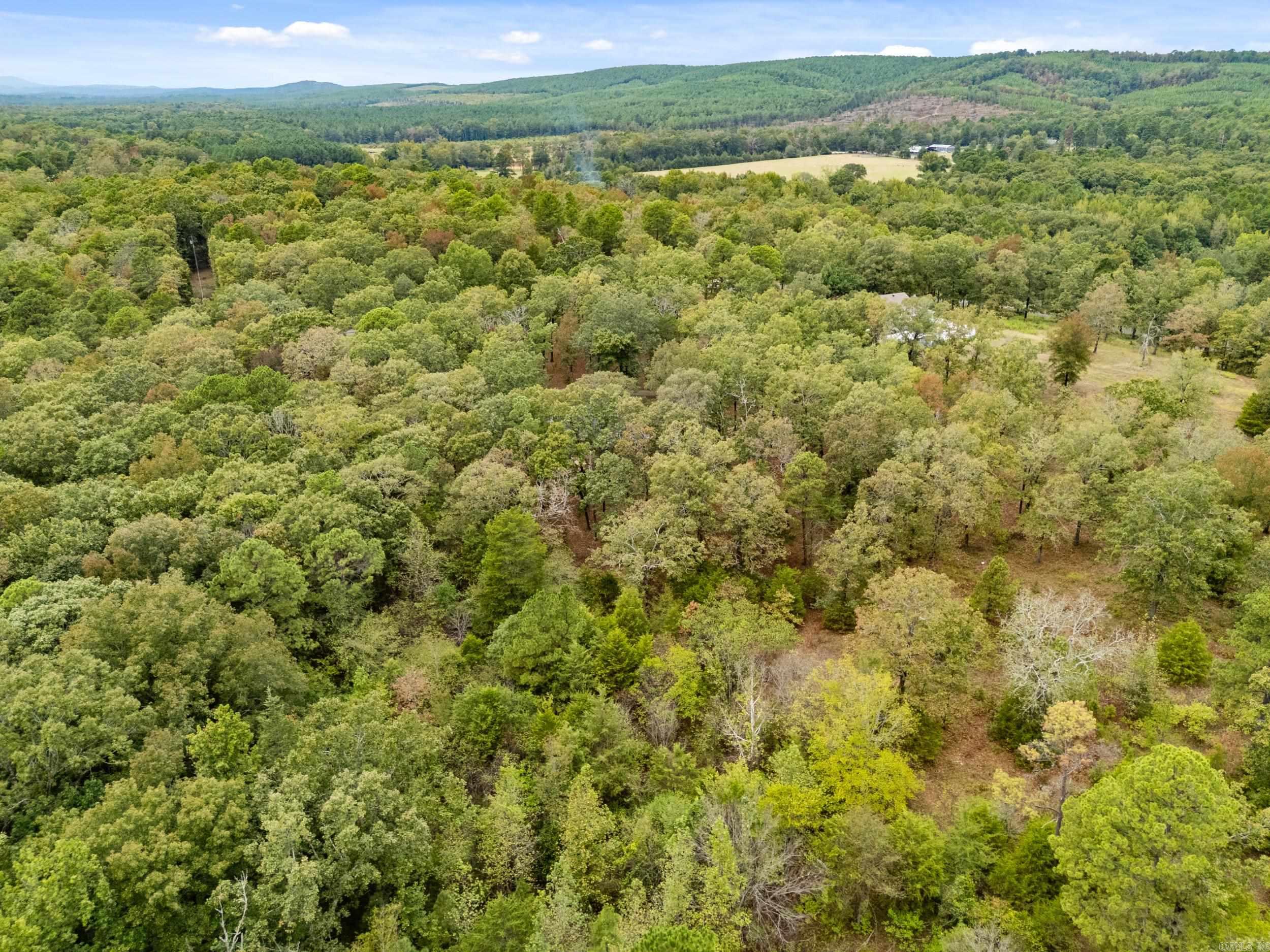 94 Sunshine Farms  Bigelow, AR