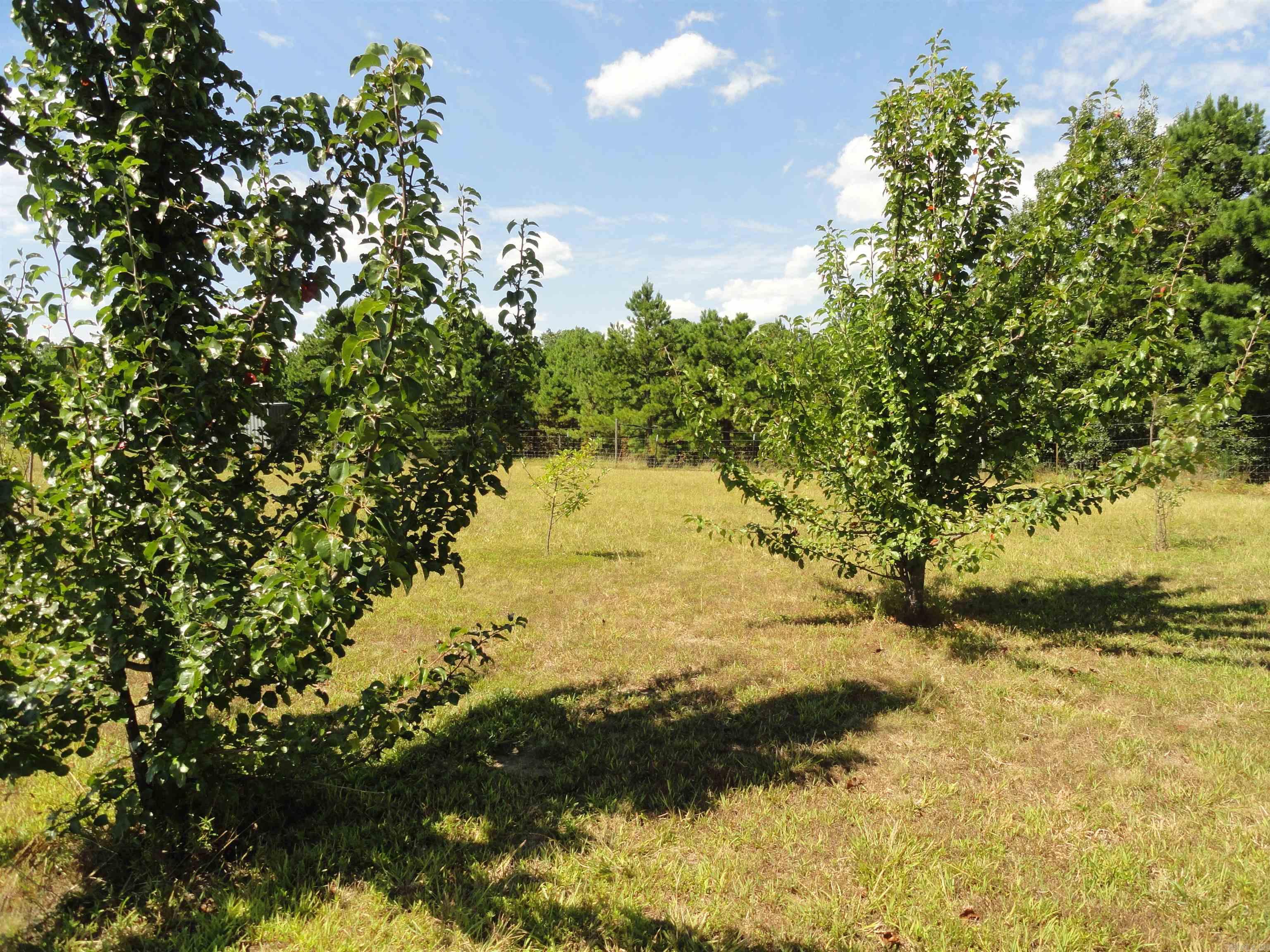 878 Harry Brown  Leslie, AR