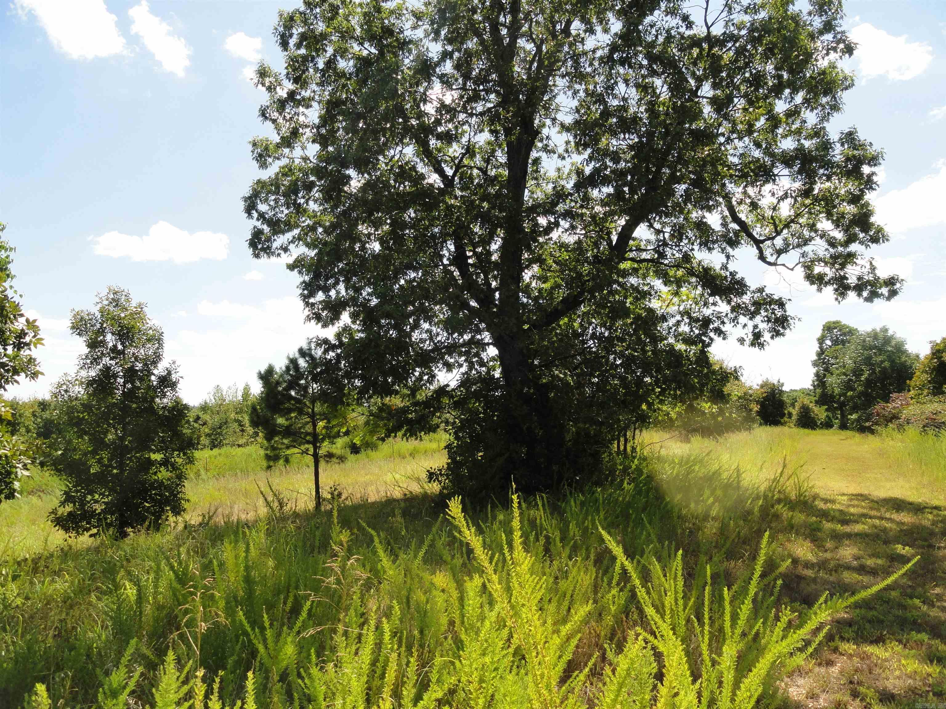 878 Harry Brown  Leslie, AR