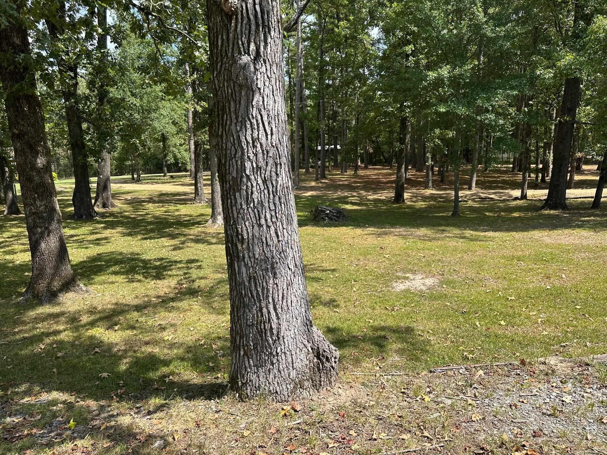 1105 woodcrest  Star City, AR