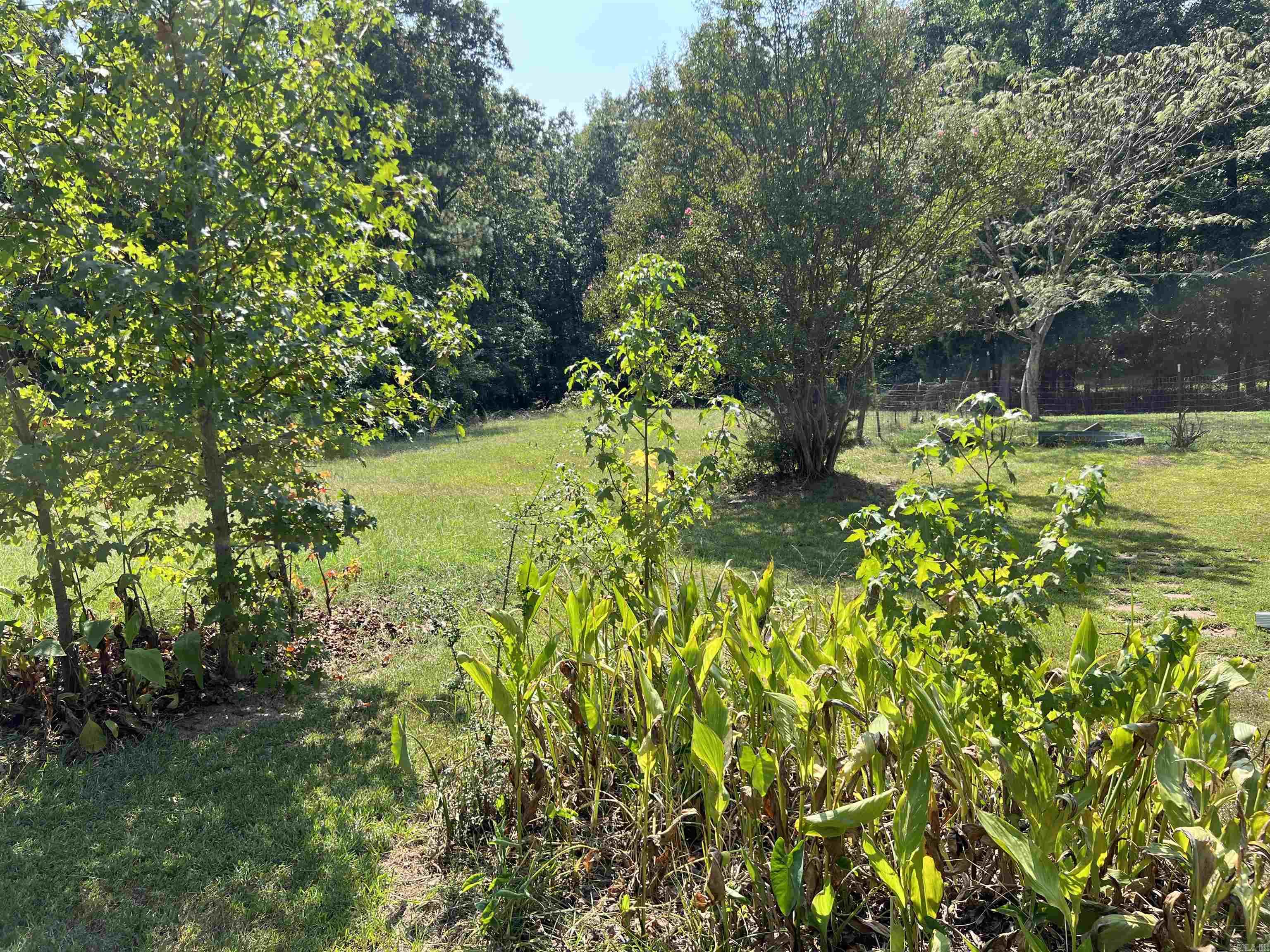 681 Jacob  Star City, AR
