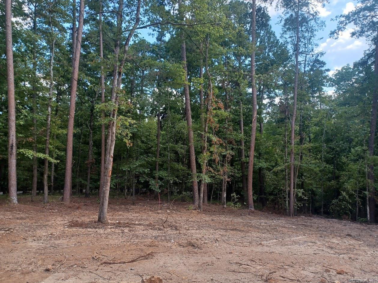 10 Archidona Cir  Hot Springs Village, AR