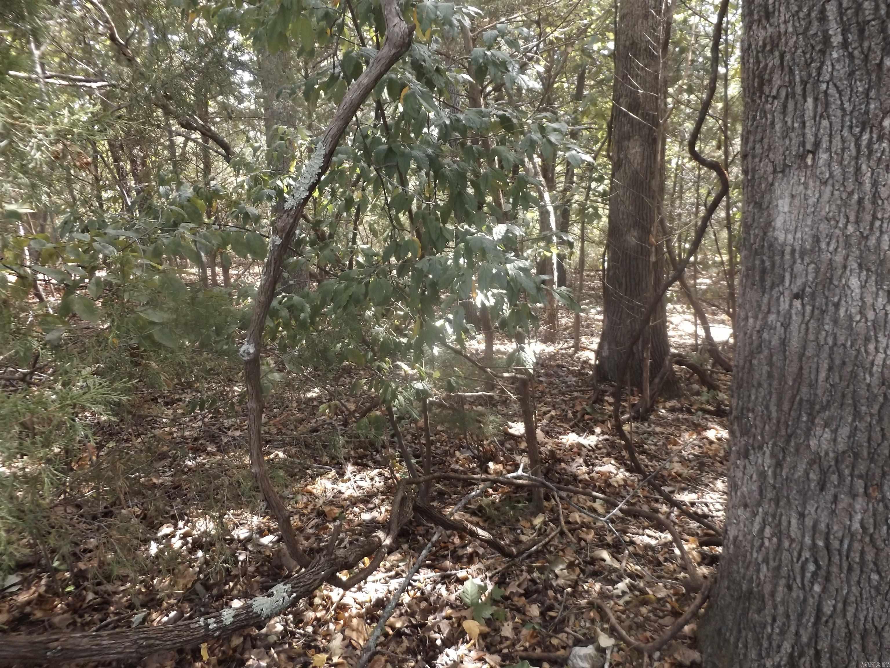 002-10881-000 Hwy 178  Lakeview, AR