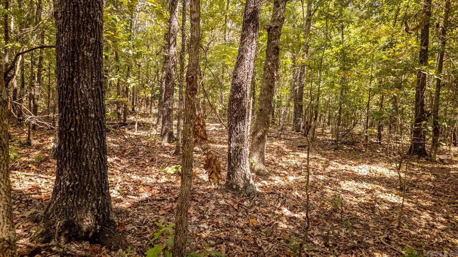 000 County Road 9640  Koshkonong, MO