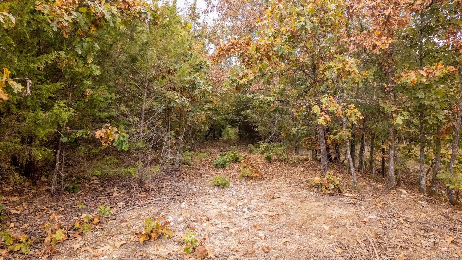 000 County Road 9640  Koshkonong, MO