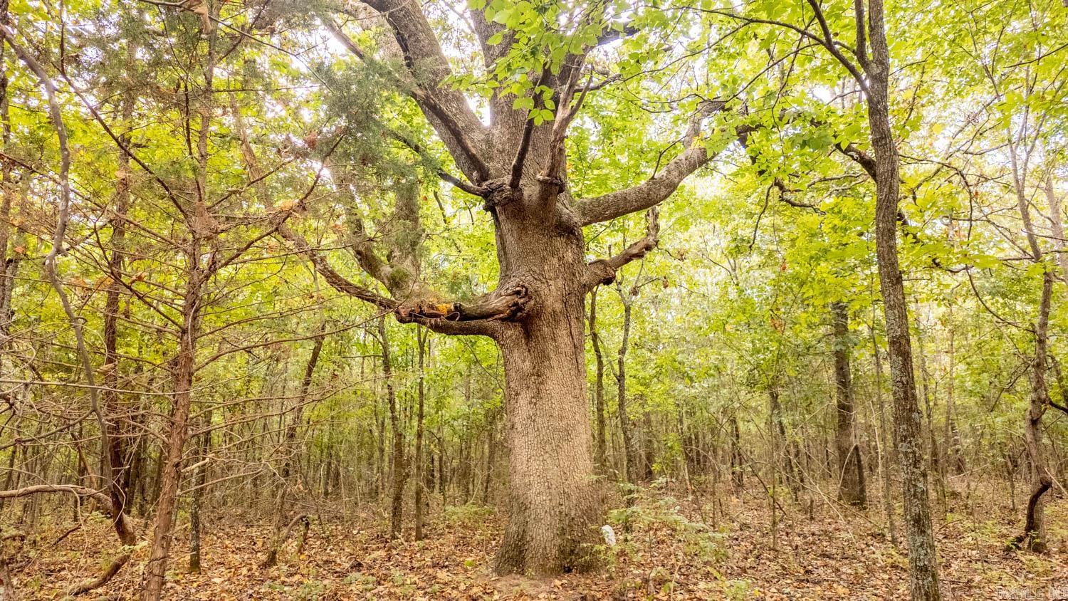 000 County Road 9640  Koshkonong, MO