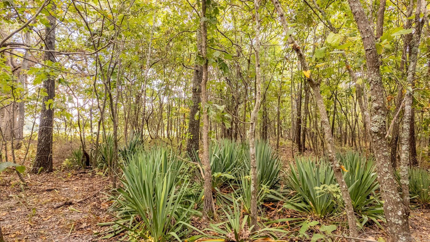 000 County Road 9640  Koshkonong, MO