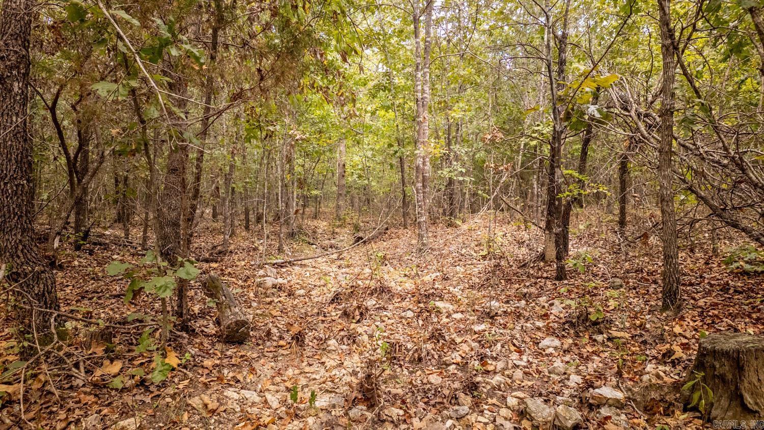 000 County Road 9640  Koshkonong, MO
