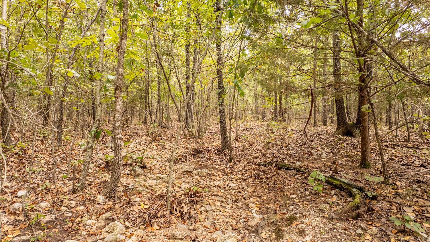 000 County Road 9640  Koshkonong, MO