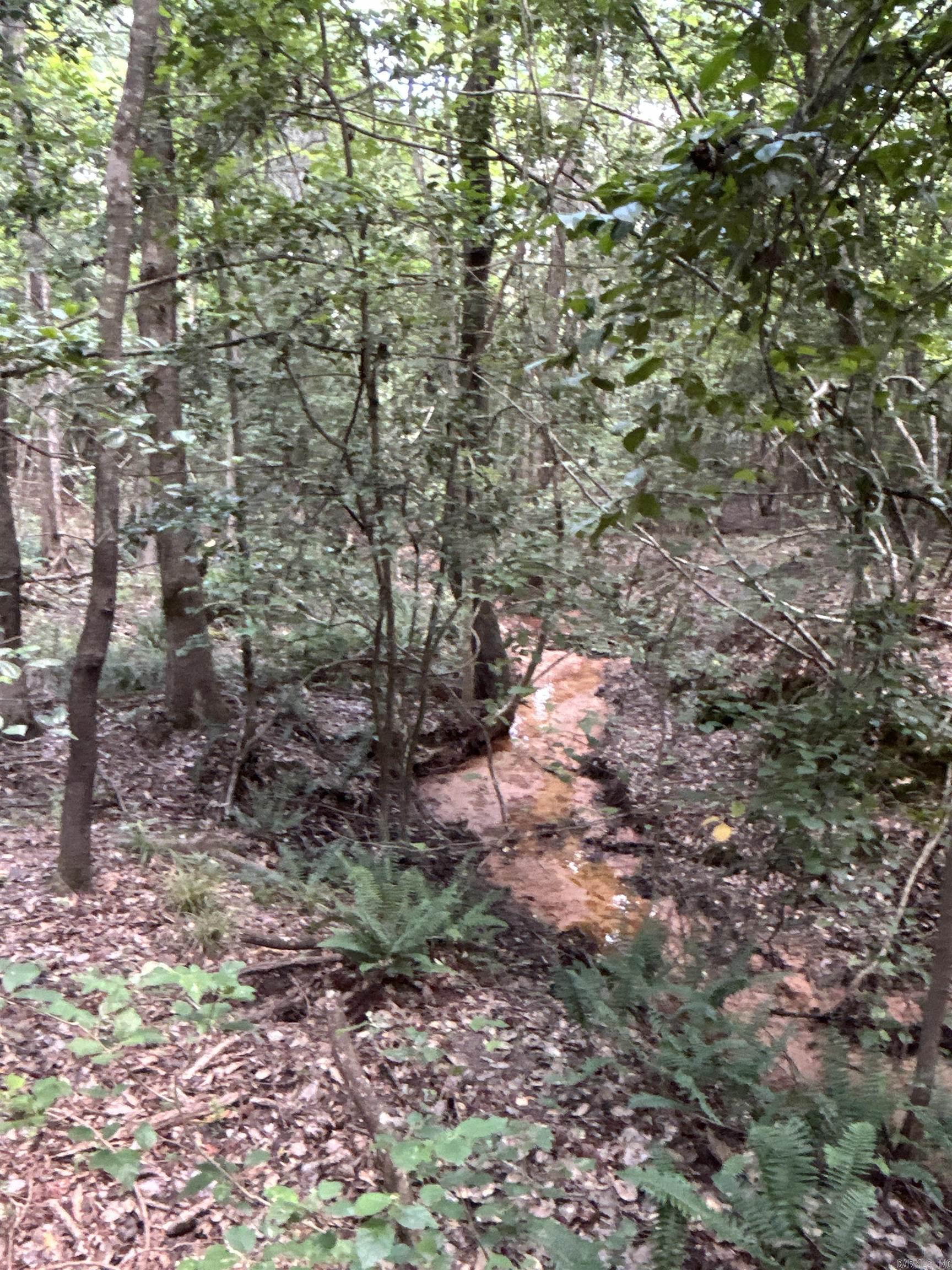 000 Nevada 36  Rosston, AR