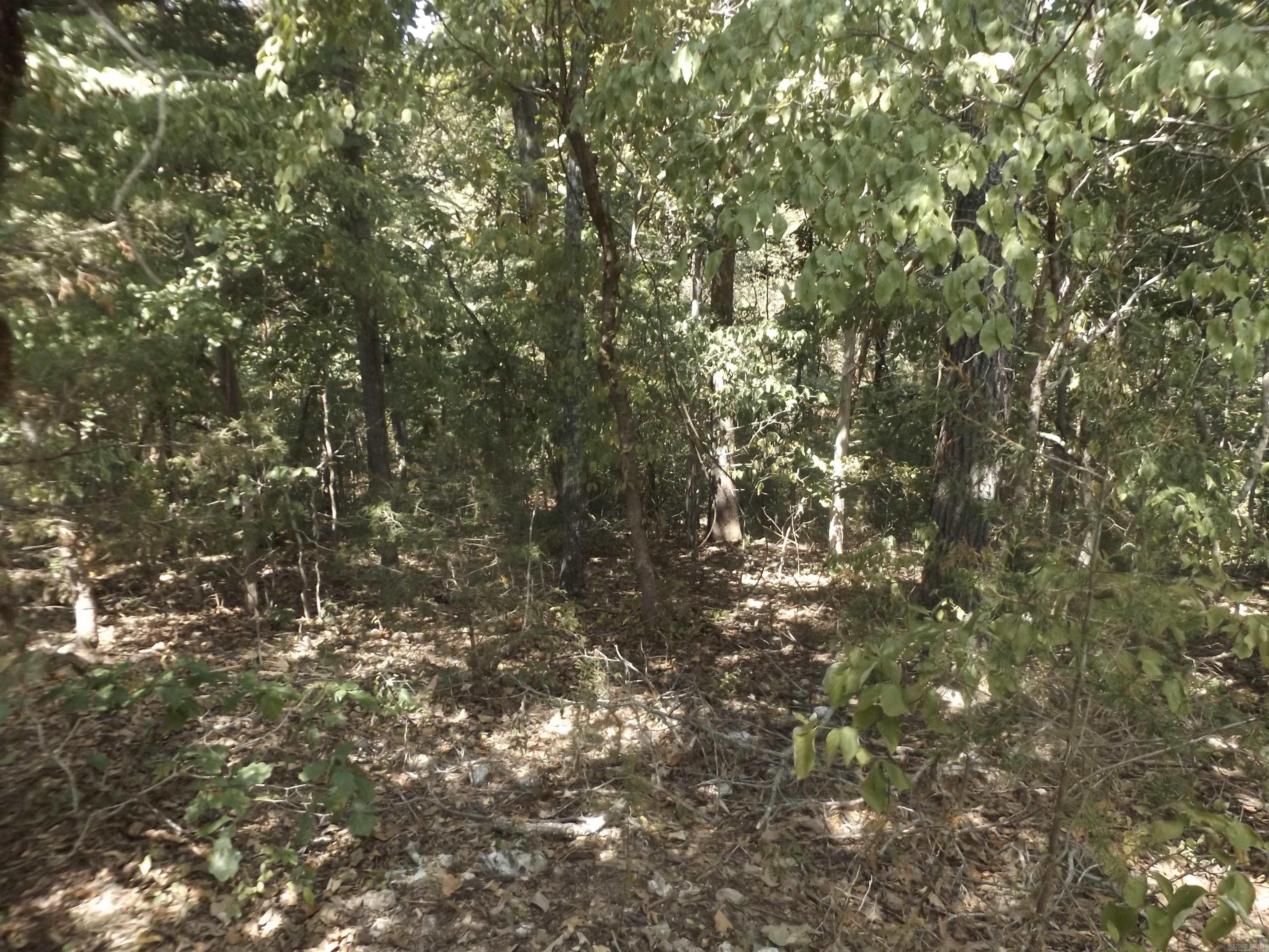 Lot 5 Windancer  Mountain Home, AR