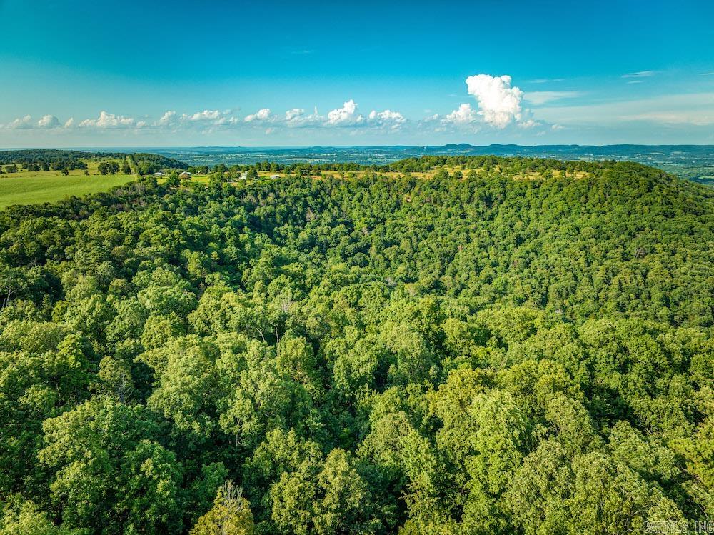 2333 CR 507  Berryville, AR