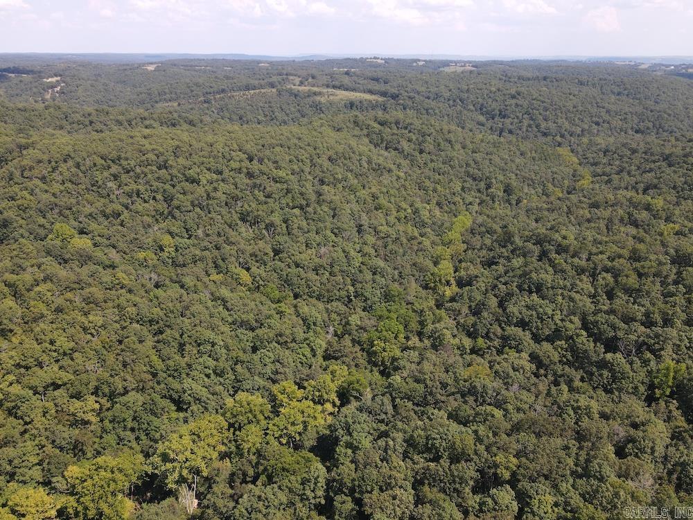 550 Hillbilly Hollow Trail  Pyatt, AR