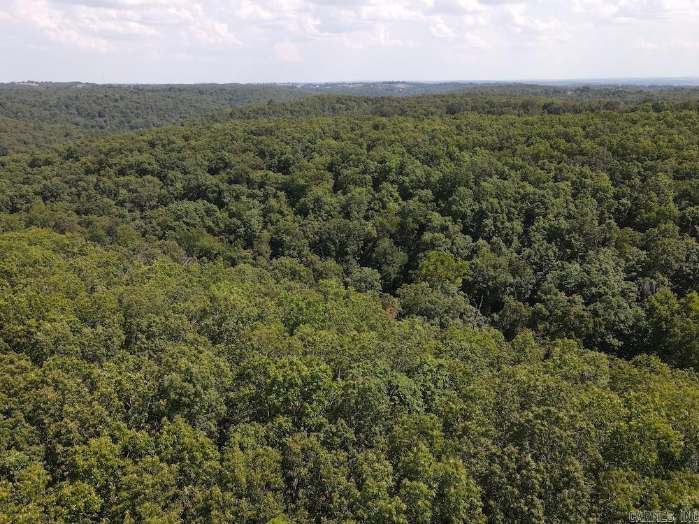 550 Hillbilly Hollow Trail  Pyatt, AR