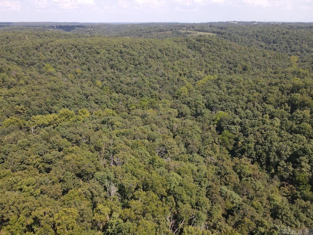 550 Hillbilly Hollow Trail  Pyatt, AR