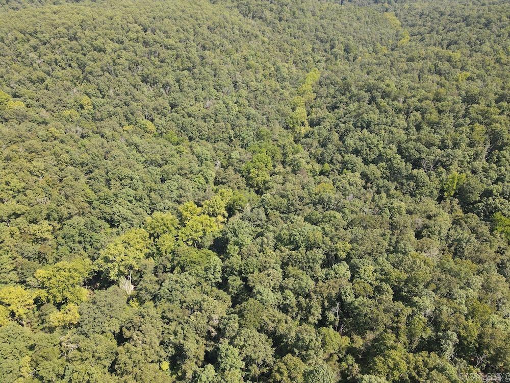 550 Hillbilly Hollow Trail  Pyatt, AR