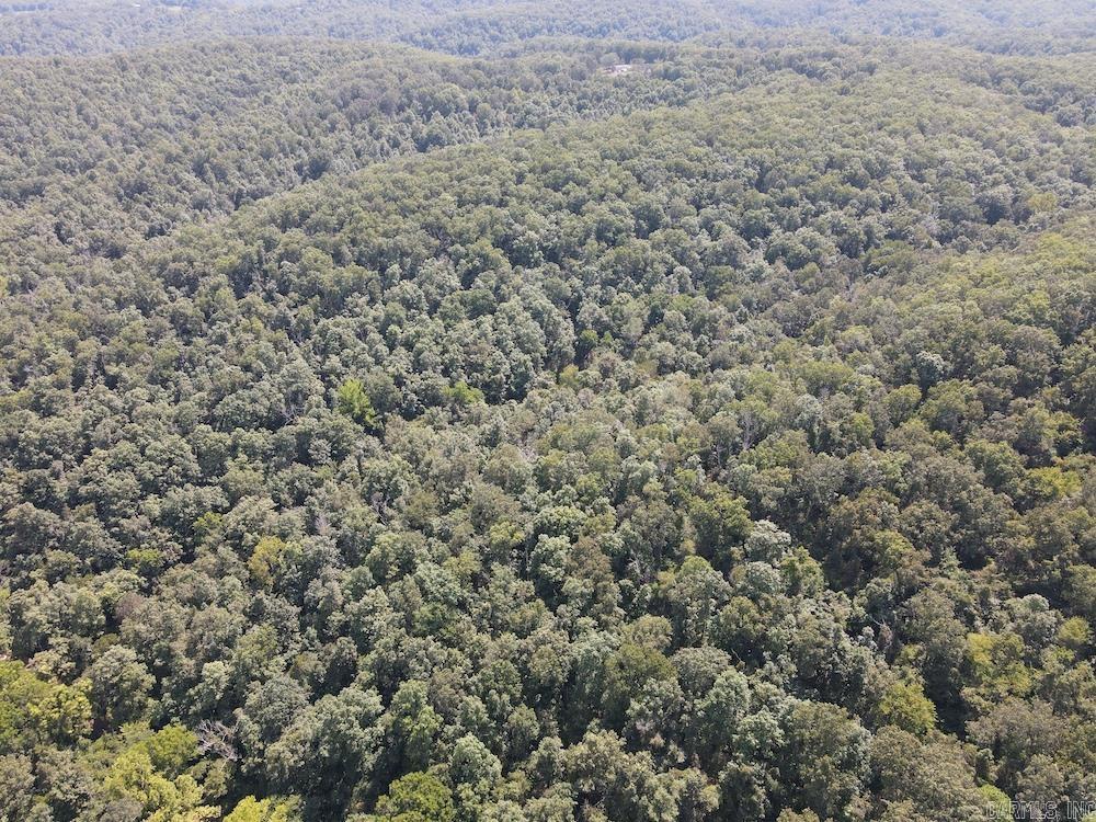 550 Hillbilly Hollow Trail  Pyatt, AR