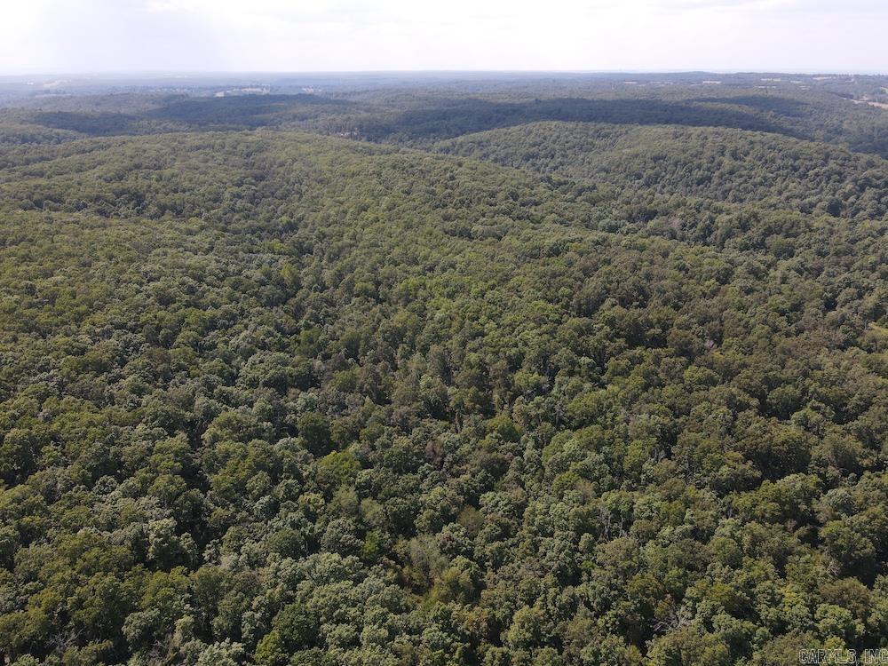550 Hillbilly Hollow Trail  Pyatt, AR