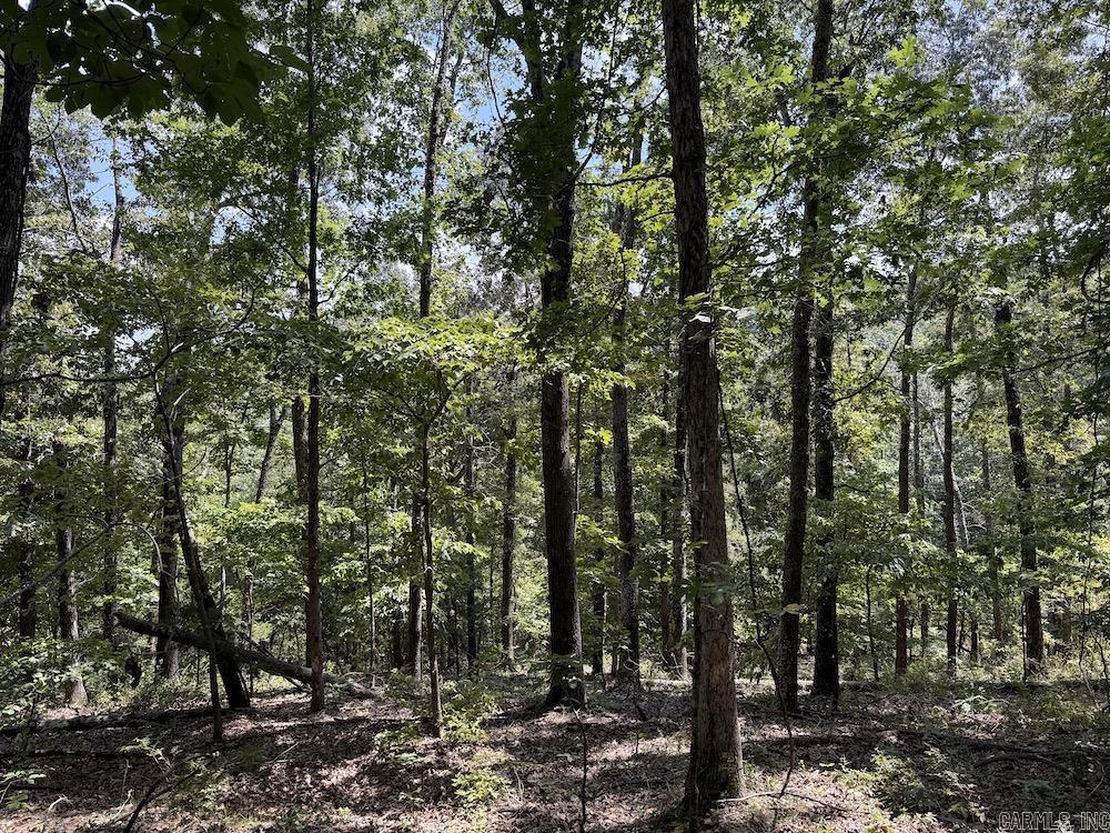 550 Hillbilly Hollow Trail  Pyatt, AR