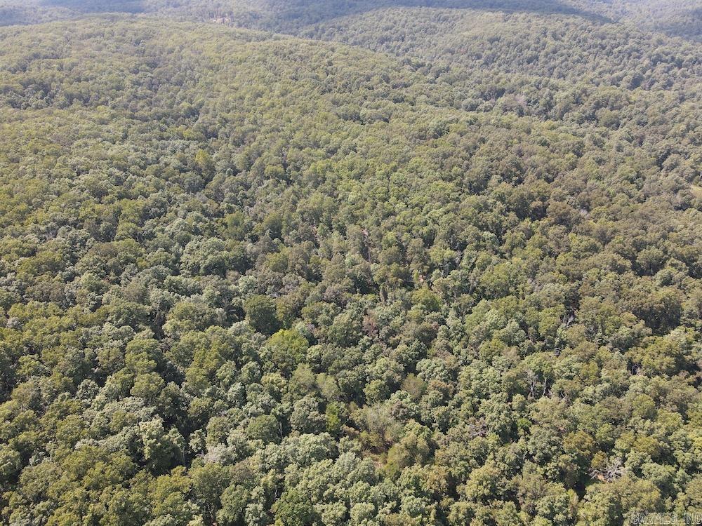 550 Hillbilly Hollow Trail  Pyatt, AR