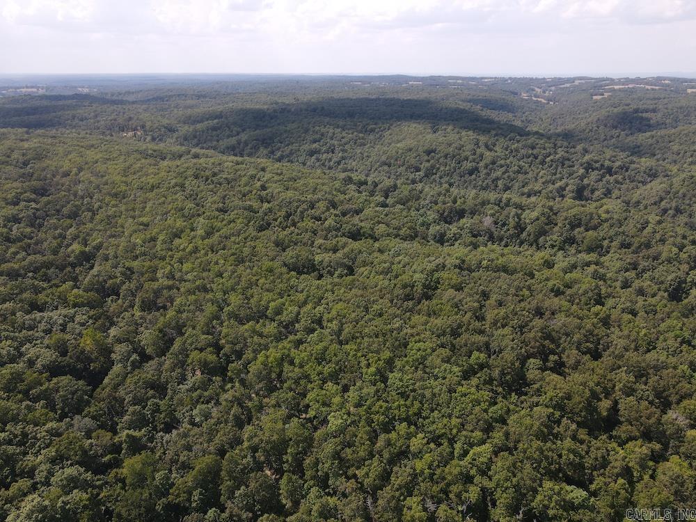 550 Hillbilly Hollow Trail  Pyatt, AR