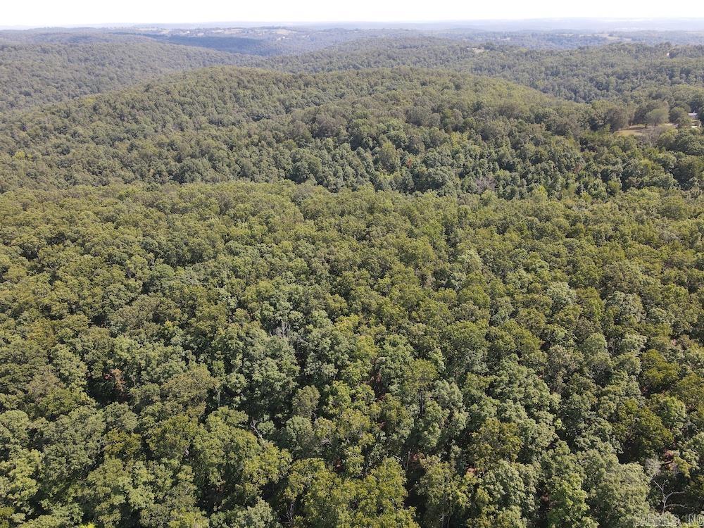 550 Hillbilly Hollow Trail  Pyatt, AR