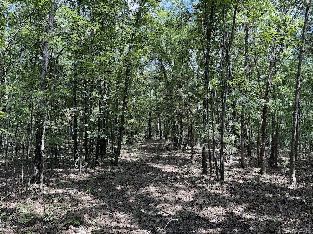 550 Hillbilly Hollow Trail  Pyatt, AR