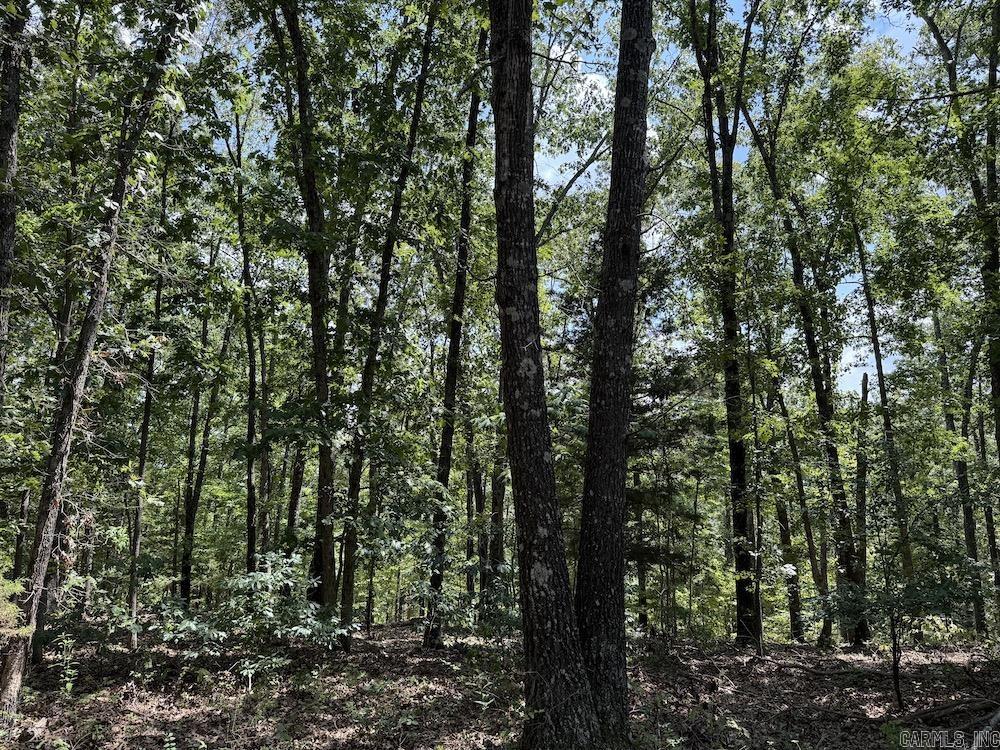 550 Hillbilly Hollow Trail  Pyatt, AR