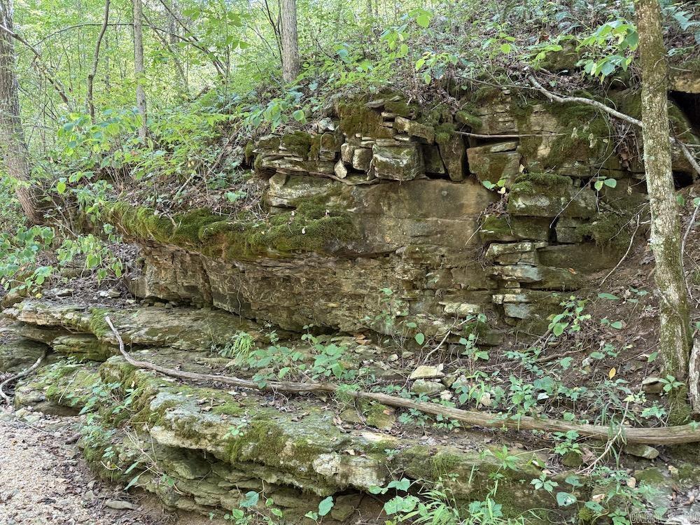 550 Hillbilly Hollow Trail  Pyatt, AR