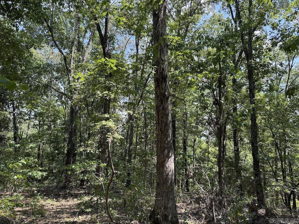 550 Hillbilly Hollow Trail  Pyatt, AR