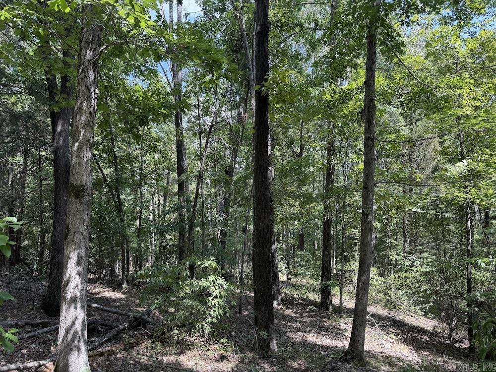 550 Hillbilly Hollow Trail  Pyatt, AR