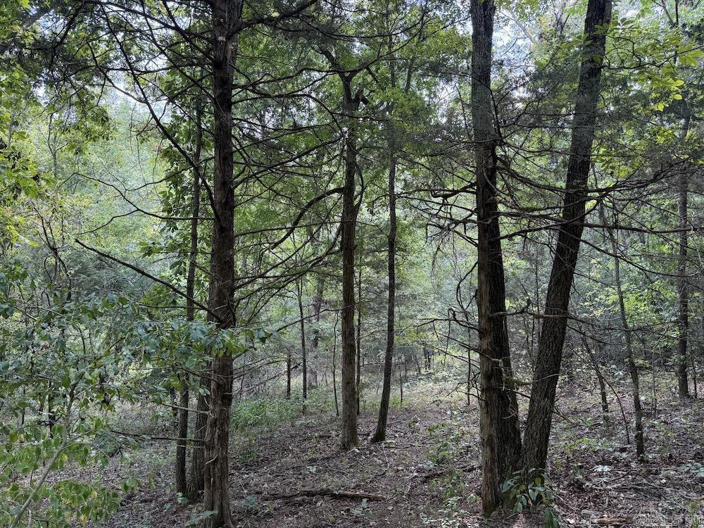 550 Hillbilly Hollow Trail  Pyatt, AR