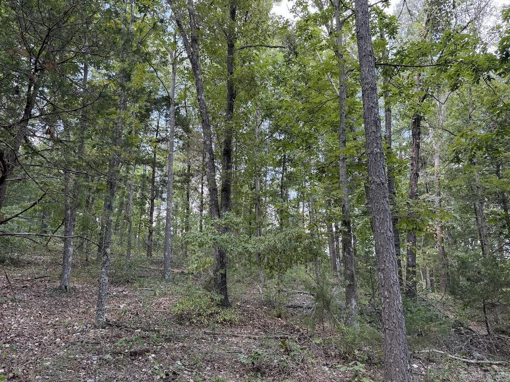550 Hillbilly Hollow Trail  Pyatt, AR