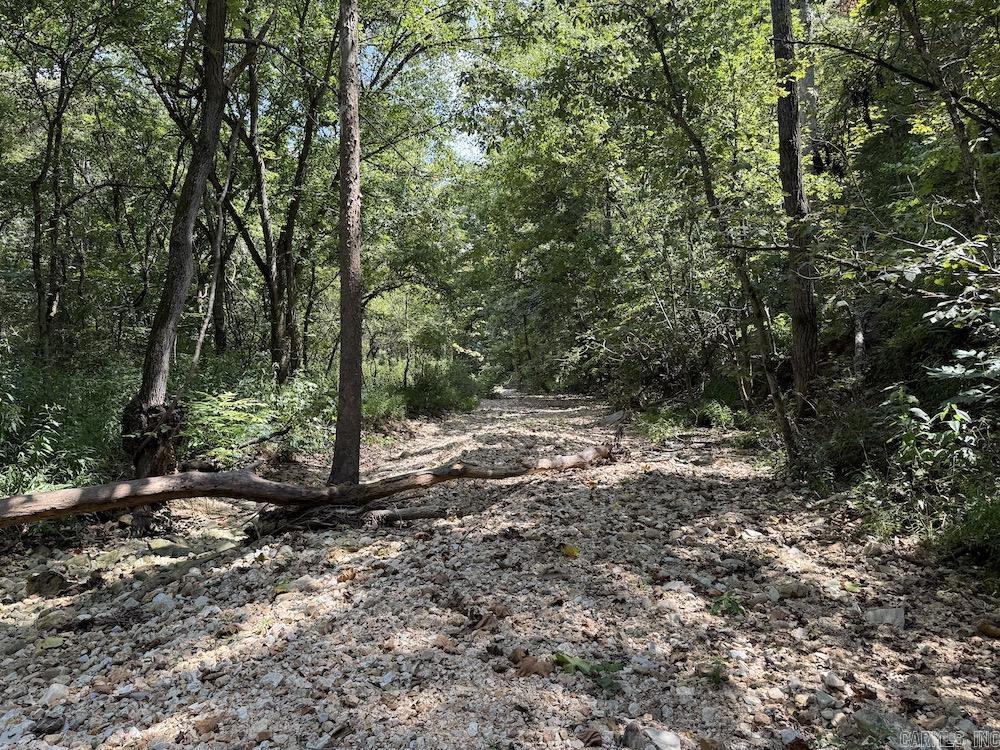 550 Hillbilly Hollow Trail  Pyatt, AR