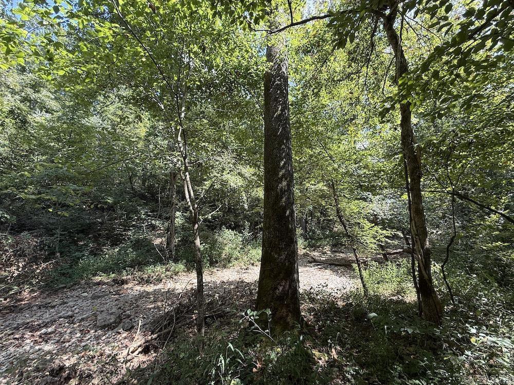 550 Hillbilly Hollow Trail  Pyatt, AR