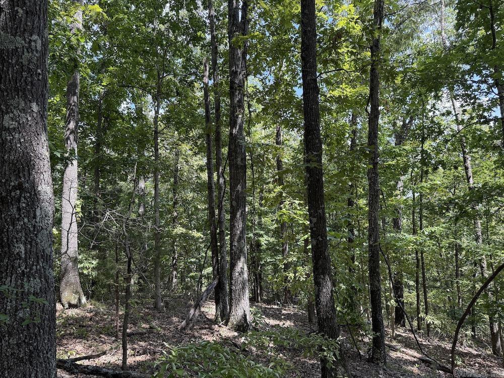 550 Hillbilly Hollow Trail  Pyatt, AR