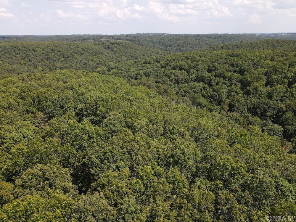 550 Hillbilly Hollow Trail  Pyatt, AR