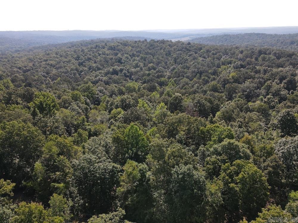  Pine Valley Road  Hardy, AR