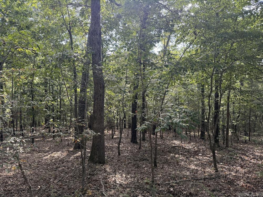  Pine Valley Road  Hardy, AR